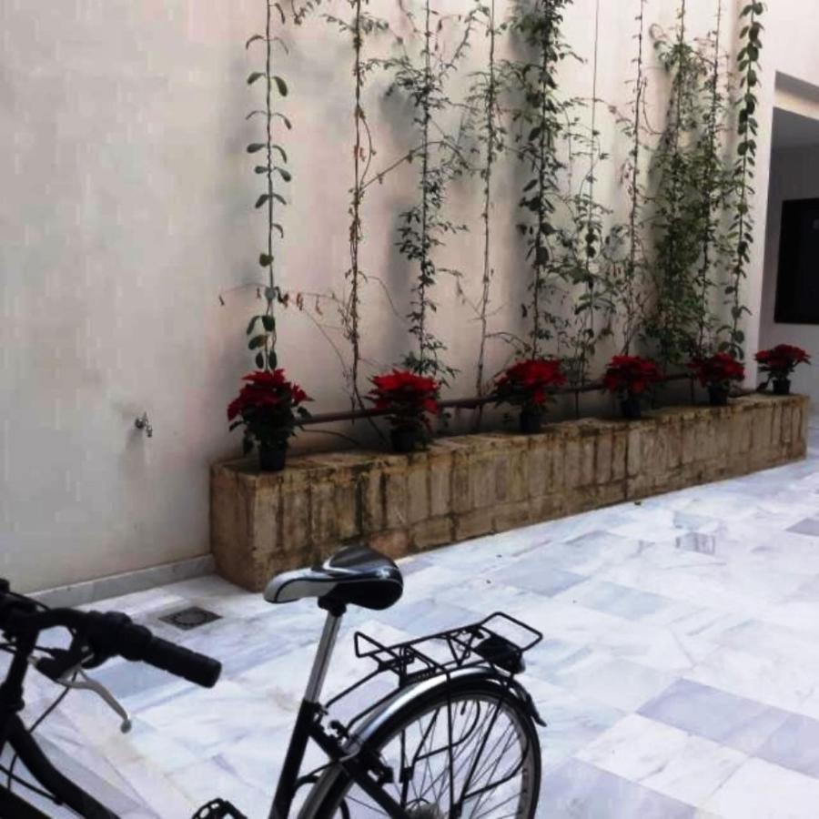 Estudio En Pleno Centro De Sevilla By Msholidays Exteriör bild